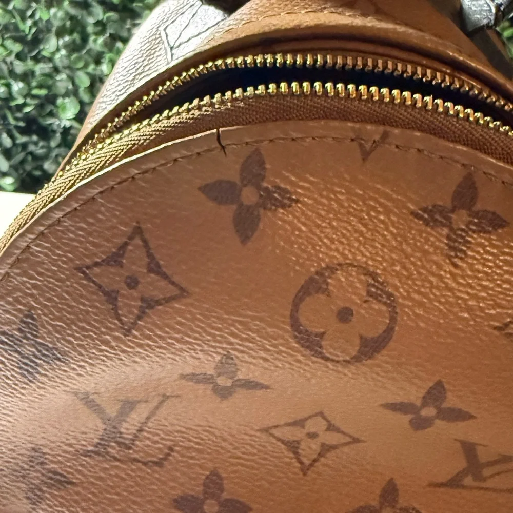 Louis Vuitton LV reverse Monogram Palm Springs Mini - Picture 3 of 16